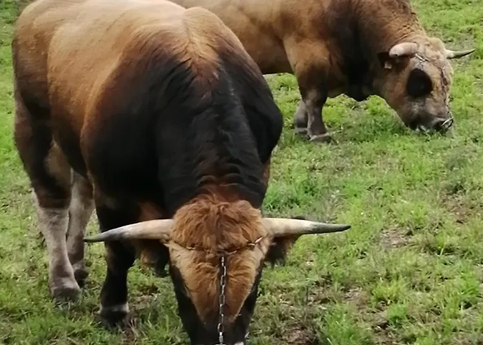 게스트하우스 La Longere - Chambres Et Table D'Hotes