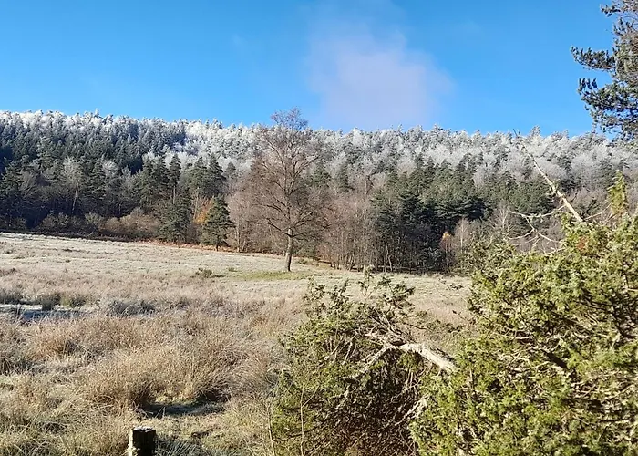 La Longere - Chambres Et Table D'Hotes