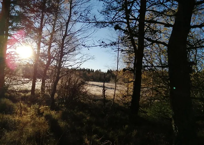 게스트하우스 La Longere - Chambres Et Table D'Hotes 3*