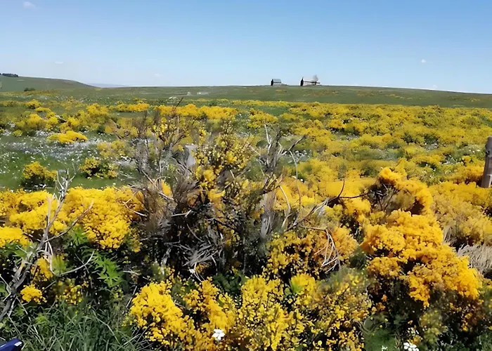 La Longere - Chambres Et Table D'Hotes 게스트하우스 3*
