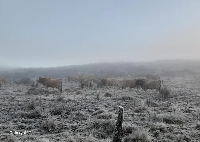 La Longere - Chambres Et Table D'Hotes 게스트하우스 Lacalm
